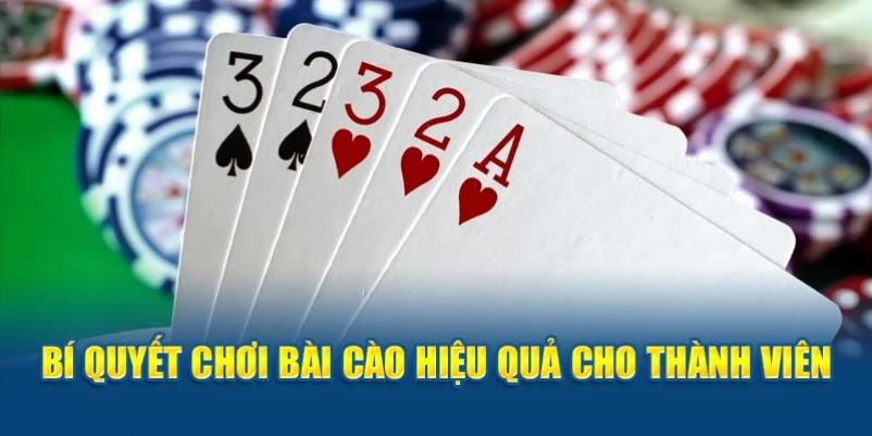 Bí quyết chơi bài cào hiệu quả cho thành viên