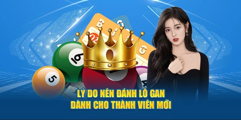 Lý do nên đánh lô gan dành cho thành viên mới